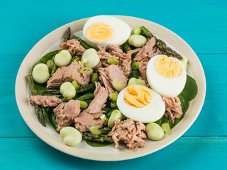 Tuna Fish Salad with Broad Beans Boiled Eggs and Asparagus