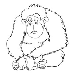Ape Cartoon - Line Drawn Vector
