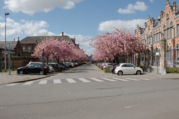 Street of Ghent