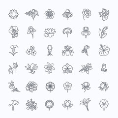 Fototapeta premium Flower Icon Set - Vector Illustration