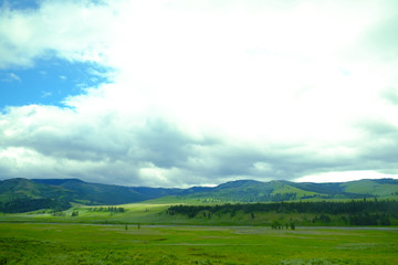 Naklejka premium Yellowstone National Park