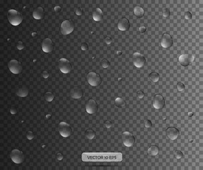 Realistic water drop. Vector illustration. Pure water drops collection.
