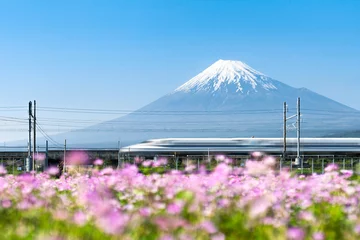 Fotobehang Tokaido Shinkansen bullet-trein langs de berg Fuji, Yoshiwara, prefectuur Shizuoka, Japan © eyetronic