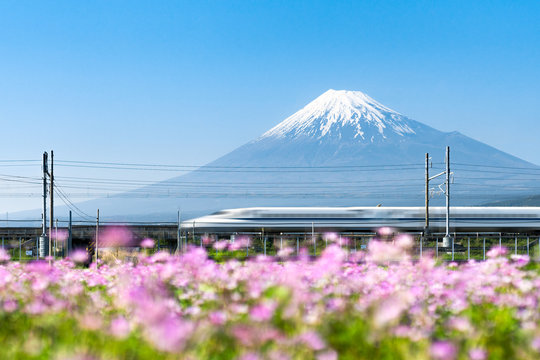 Fototapeta Tokaido Shinkansen bullet train passing by Mount Fuji, Yoshiwara, Shizuoka prefecture, Japan
