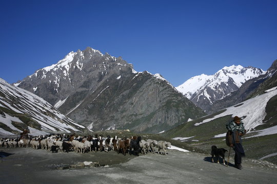 Drass Valley is in the state of Jammu and Kashmir. Drass sector is often dubbed as " the gateway to Ladakh", India. 