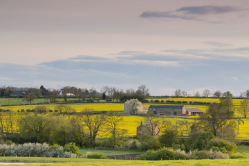 Countryside Farm