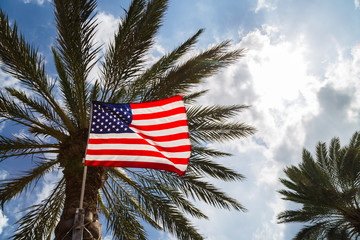 US Flag and Palm tree against blue sky.