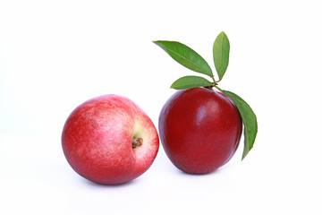 Nectarines