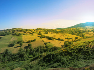 Naklejka premium вид на живописные холмы с виноградниками и сельскими полями