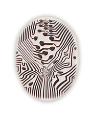 Digital fingerprint with circuit board design