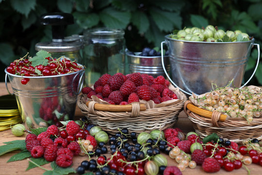 Ripe red raspberries, gooseberries, black, red and white currants, blueberries in wicker baskets and metal buckets. Summer harvest of berries.
