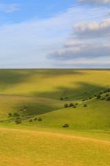 Green Sussex Landscape