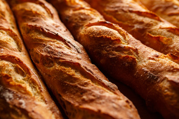 Bio Brot Bäckerei
