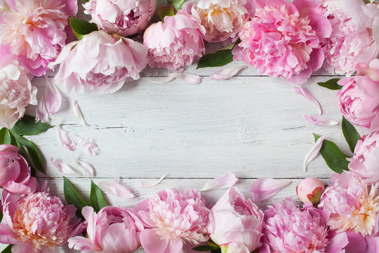 Fototapeta Pink peonies on a wooden background