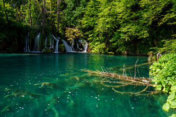 Paths and lakes of Plitvice