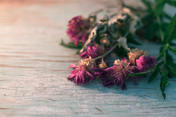 Summer flowers on blue wooden boards in the sunlight.