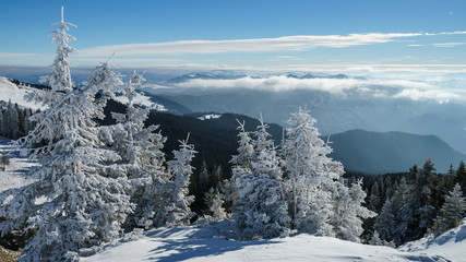 looling down to the world