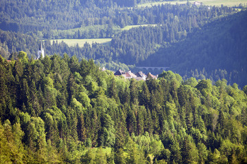 Forest landscape in Switzerland near Les Brenets