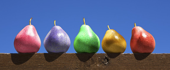 Multicolored pears