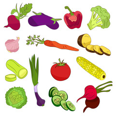 Illustration with vegetables on light background