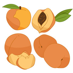 Peach on white background