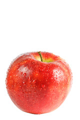 One fresh red apple