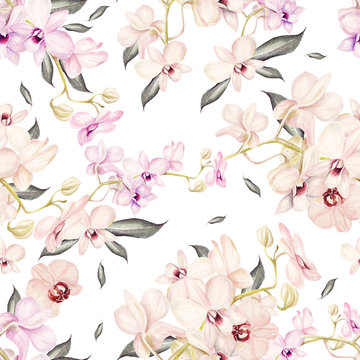 Beautiful watercolor pattern with orchid flowers. Illustration.
