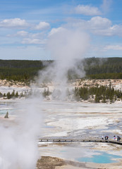 Norris Geyser Basin from Above with an erupting geyser in the foreground and brilliant blue thermal pools near a boardwalk in the distance.