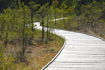 Fototapeta premium Wooden footbridge