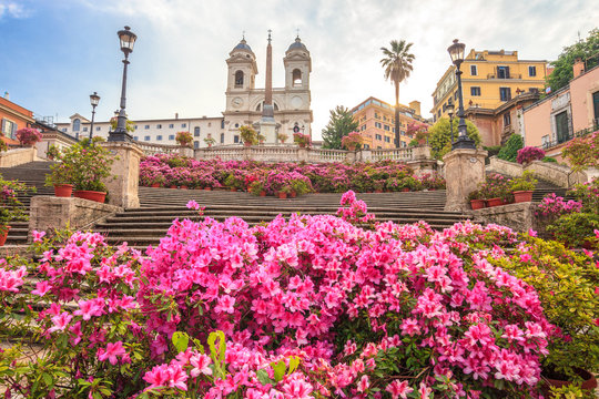 Spanish Steps in the morning with azaleas in Rome, Italy. Rome Spanish Steps (Scalinata della Trinit&agrave; dei Monti) are a famous landmark and attraction of Rome and Italy.