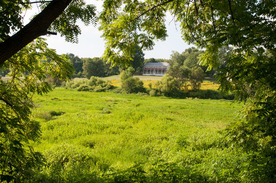 Green open space with mature trees on a sunny day with light clouds at Stroud Preserve