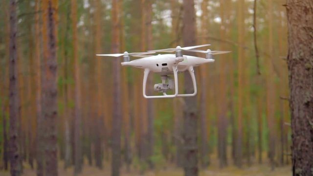 Digital drone flies wirelessly in a forest among trees.