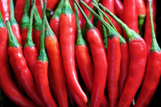 Red Hot Chile Pepper On Wood Background