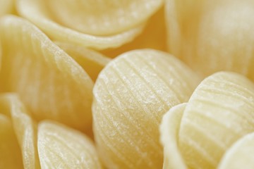 Pasta small shells for cooking dinner view