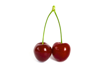 Two cherries on stalk