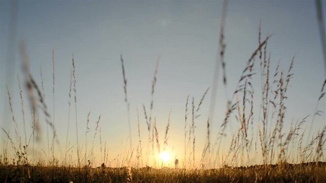 Sonnenuntergang im Feld
