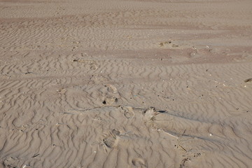 plage de sable creusée par le vent. 