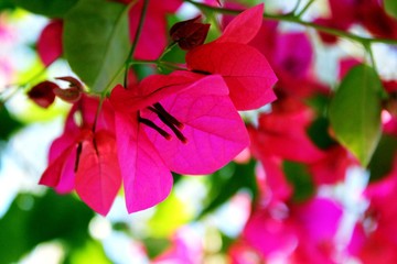 Obraz premium building landscape architecture sky beautiful view a nice place journey nature Rivers