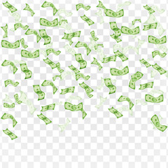 Finance concept. Rain from dollars.