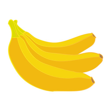 Vector bananas graphic