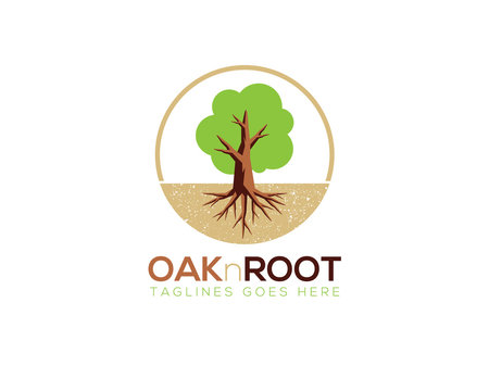 oak and root