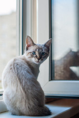 Застали врасплох