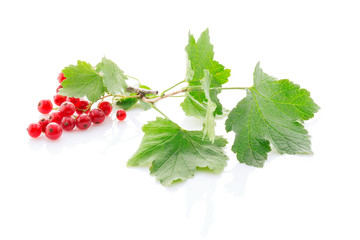 currant with leaves isolated on a white.