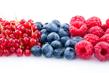 raspberry, blueberry, currant, different berries isolated.