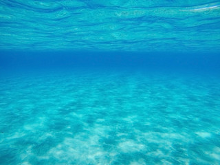 Fototapeta na wymiar Beautiful underwater background.