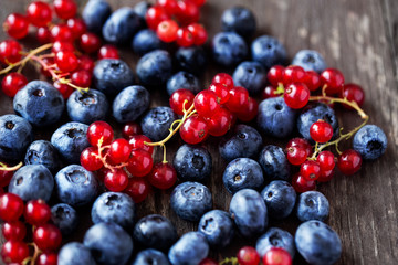 Freshly picked blueberries and currant.