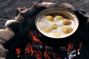 Young potatoes boiled in the pot on the fire
