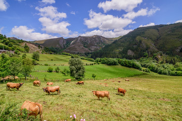 San Julián