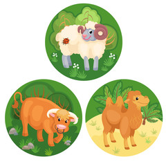 Three round banners with farm animals / There are ram, bull and camel with grass and trees on the green background
