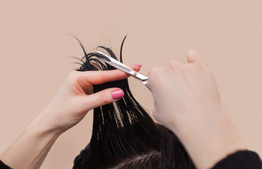 The hairdresser does a haircut with hot scissors of hair to a young girl, a brunette in a beauty salon. © Dimid